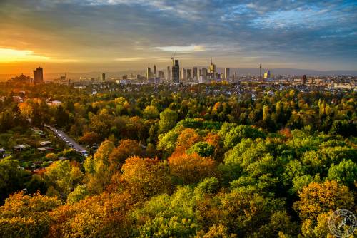 Goetheturm Frankfurt (3)