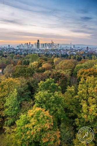 Frankfurt_Goetheturm_Oktober2022-9