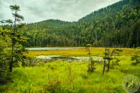 Grosser_Arbersee (2)