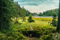 Grosser_Arbersee (3)
