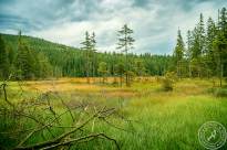 Grosser_Arbersee (4)