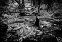 La Gomeras Fairytale Forrest in Black & White