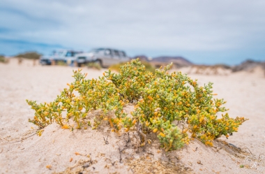 La Graciosa (12)
