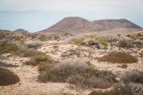La Graciosa (2)