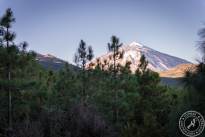 La Orotava Weather View