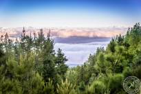 La Orotava Weather View