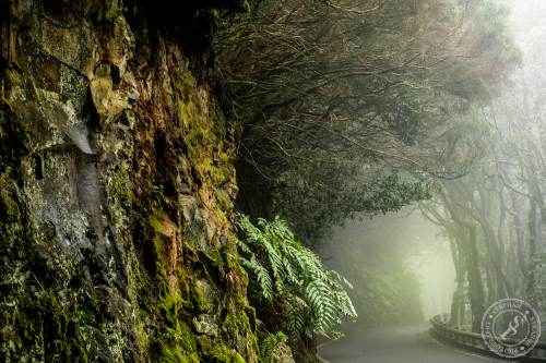 Magische Wanderwege im Anaga-Gebirge