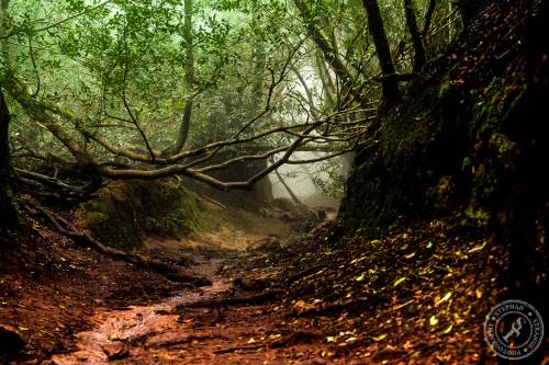 Magische Wanderwege im Anaga-Gebirge