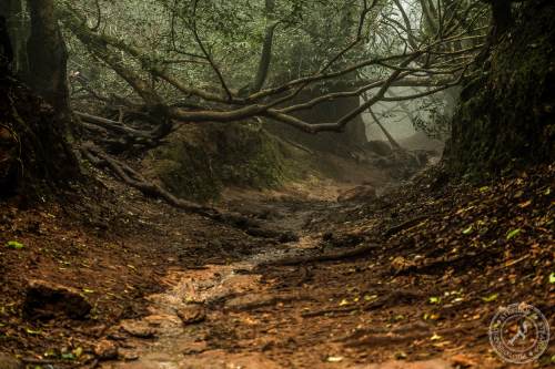 Magische Wanderwege im Anaga-Gebirge
