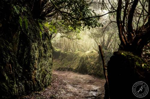 Magische Wanderwege im Anaga-Gebirge