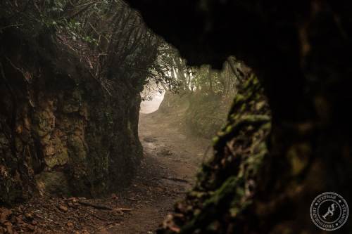 Magische Wanderwege im Anaga-Gebirge