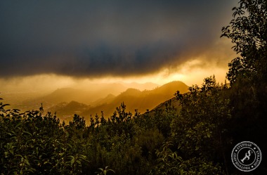 Tenerife-Midador_de_Jandia-15