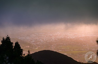 Tenerife-Midador_de_Jandia-3