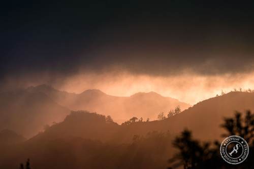 Tenerife-Midador_de_Jandia-1