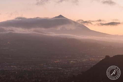 Tenerife-Midador_de_Jandia-10