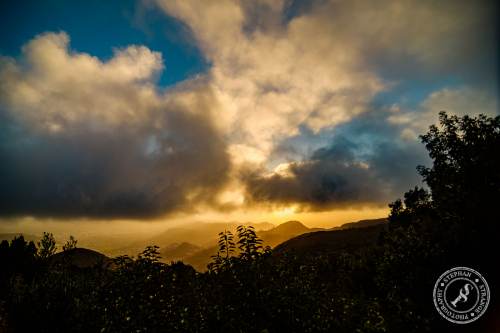 Tenerife-Midador_de_Jandia-14