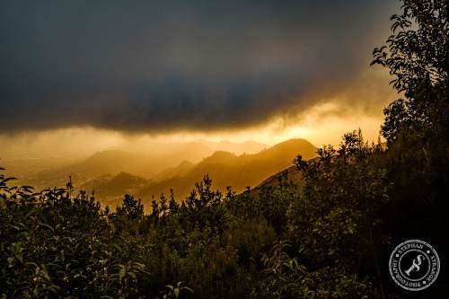 Tenerife-Midador_de_Jandia-15
