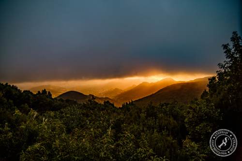 Tenerife-Midador_de_Jandia-17