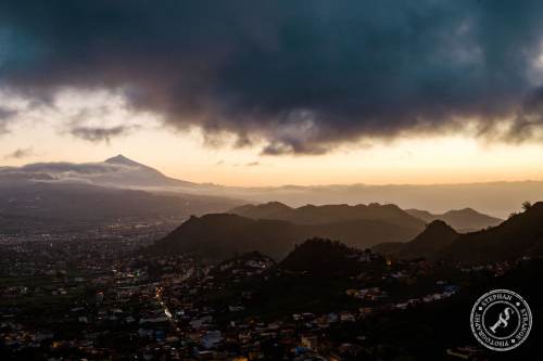 Tenerife-Midador_de_Jandia-22
