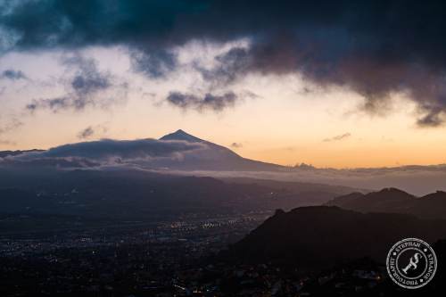 Tenerife-Midador_de_Jandia-23