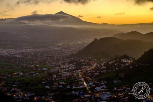 Tenerife-Midador_de_Jandia-24