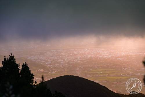 Tenerife-Midador_de_Jandia-3