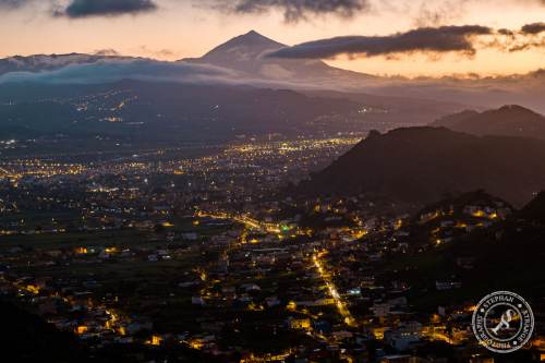 Tenerife-Midador_de_Jandia-32