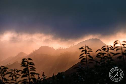 Tenerife-Midador_de_Jandia-4