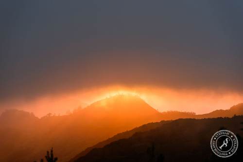 Tenerife-Midador_de_Jandia-6