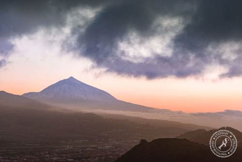 Tenerife-Midador_de_Jandia-9