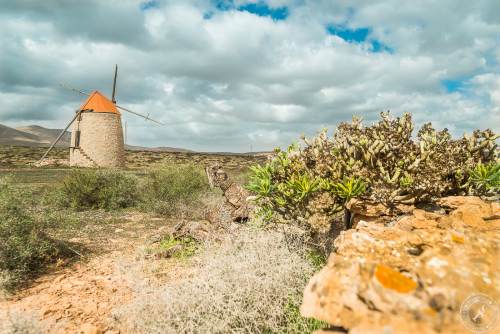 Fuerteventura