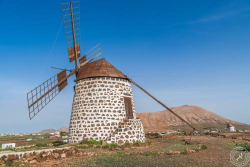 Molinos-7