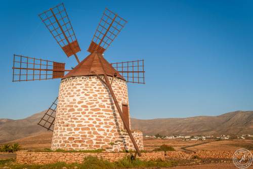 Molino de Tefia (1)