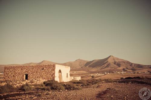 Molino de Tefia (12)