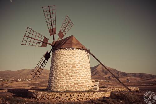 Molino de Tefia (3)