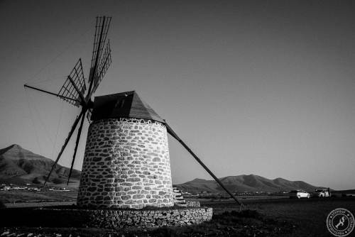 Molino de Tefia (5)