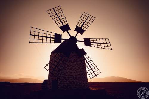Molino de Tefia (8)