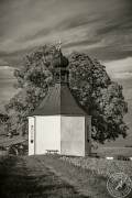 Neukirchen_beim_heiligen_Blut_07