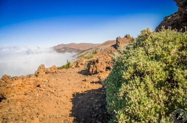 Zwischen Pico del Teide und dem Orotava Tal