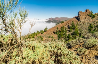 Zwischen Pico del Teide und dem Orotava Tal