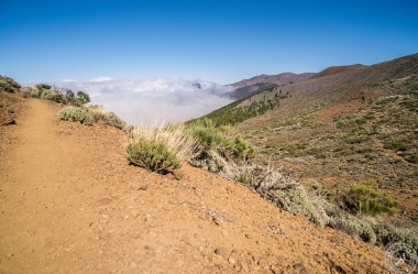 Zwischen Pico del Teide und dem Orotava Tal