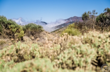 Zwischen Pico del Teide und dem Orotava Tal