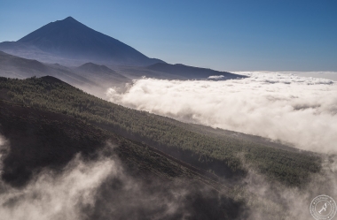 Zwischen Pico del Teide und dem Orotava Tal