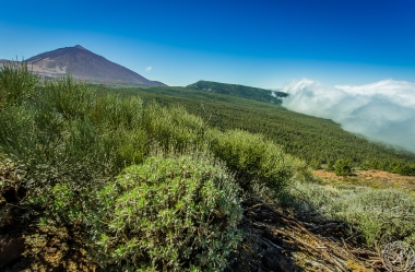 Zwischen Pico del Teide und dem Orotava Tal