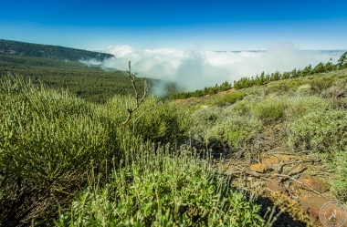 Zwischen Pico del Teide und dem Orotava Tal