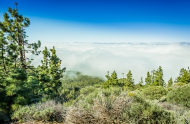 Zwischen Pico del Teide und dem Orotava Tal
