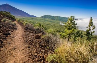 Zwischen Pico del Teide und dem Orotava Tal
