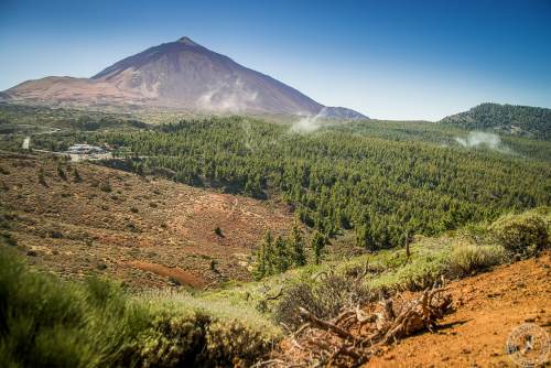 Zwischen Pico del Teide und dem Orotava Tal