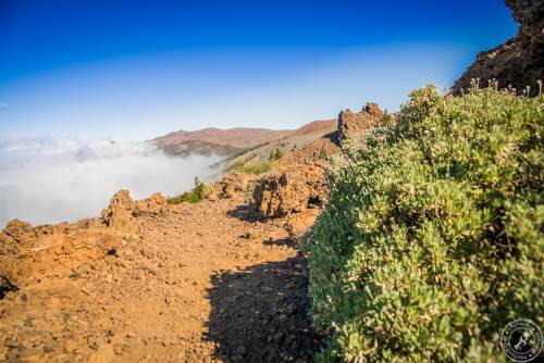 Zwischen Pico del Teide und dem Orotava Tal