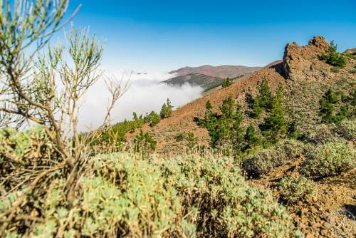 Zwischen Pico del Teide und dem Orotava Tal